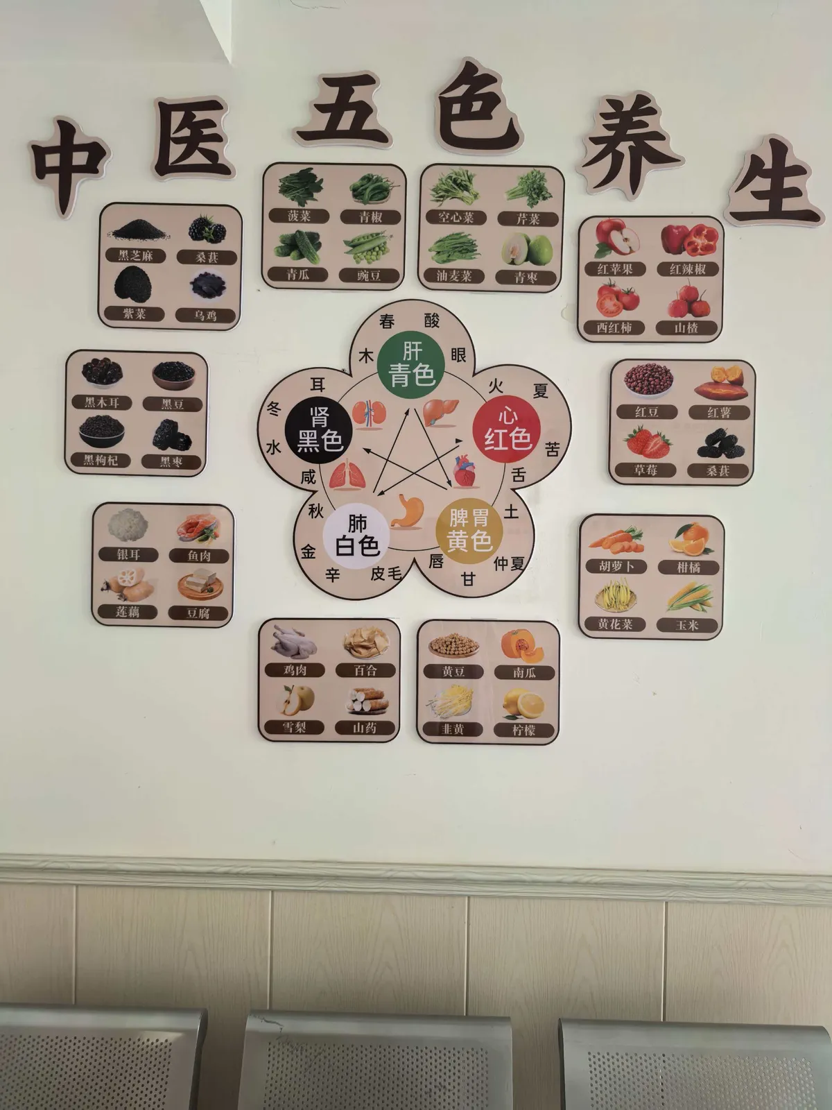 Traditional Chinese medicine five-color food therapy educational poster showing five-element dietary recommendations