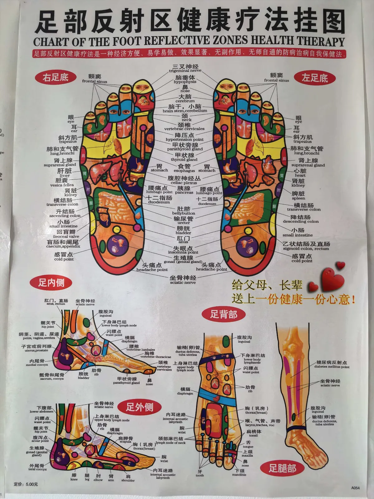 Foot reflexology and acupressure zone reference chart showing both feet