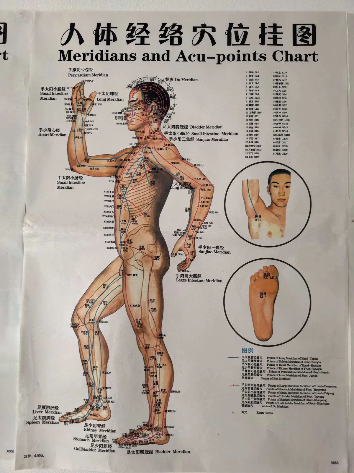 Traditional Chinese medicine meridian and acupoint reference chart showing full body meridian pathways