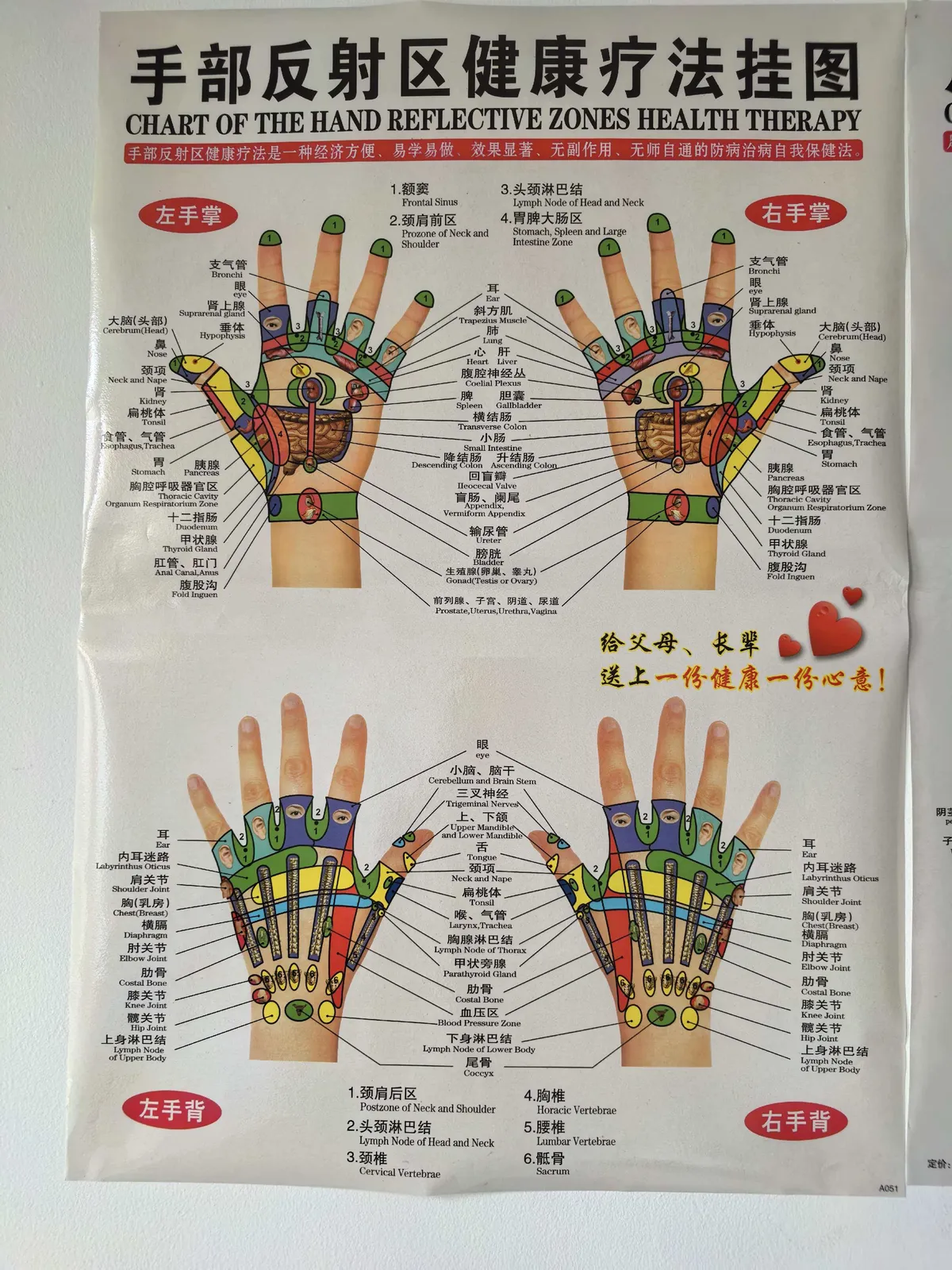 Hand reflexology and acupressure zone chart for self-care reference